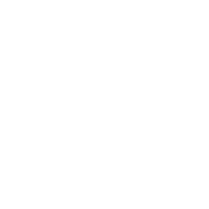 WordPress logotype wmark white